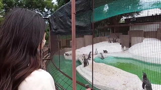 【网曝门】日料门“逼上凉山”事件，无情性虐母狗惨叫