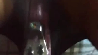我的小母狗
