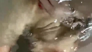 [主播录制]2022.3.27，【年少不知阿姨好】，下午场，每场都是美人妻，做爱必须戴上眼镜